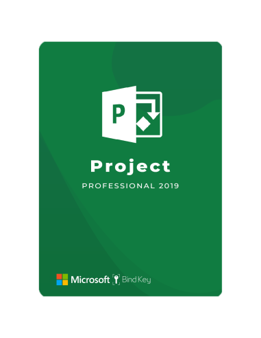 Project Pro 2019 - Permanente (Reinstalable)