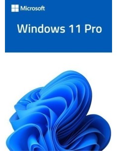 Windows 11 Professional - Actualización