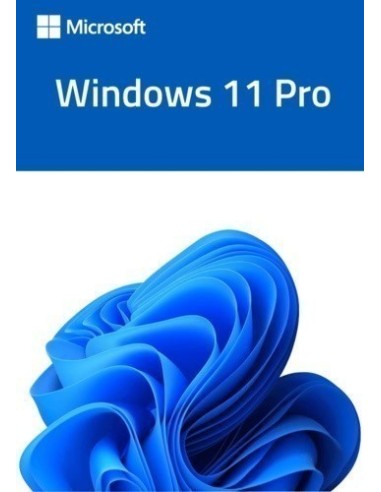 Windows 11 Professional - Actualización